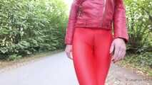 Horny red on the highway