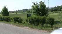 032042 Sam Pees By The Golf Course