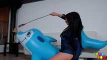 503 It must be tamed!
