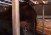ab-070 Claustrophobia (2)