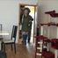 Melody - robbery in the apartment part 4 of 6