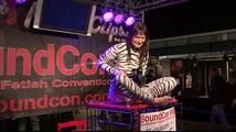 Yvette - taming the Zebra ?