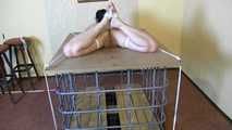 Hogtie und Pussybearbeitung