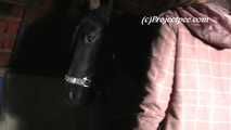 055010 Cute Teen Natly Pees In The Stables