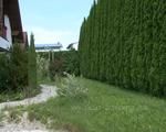 naked lawn mowing 