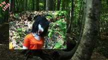 THE JUNGLE CAMP PART 3