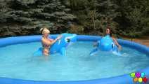 354 Cool off in the water!