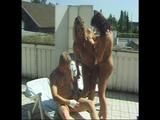 Pussy-licking in the sun