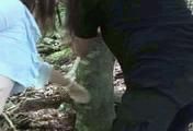 ab-063 Roped in the forest (2)