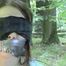 ab-062 Roped in the forest (2)