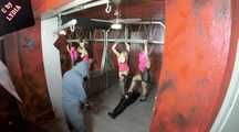 MAKING OF - WANKED