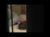 HIDDEN CAM AND FUCKING COUPLES