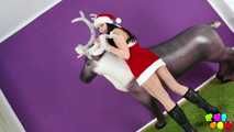115 Christmas 2013