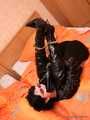 Selesta Naughty - Vampir Mädchen bekommt perfekte Hogtie von ihrem Partner