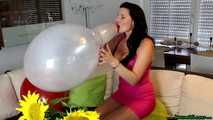 sexy busty Blow2Pop transparent Belbal 14"