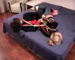 Close friends Catt and splendid Alexa trying to escape (video)