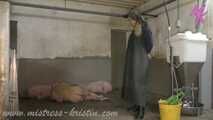 Clip #008 Feeding my pigs—the mixed group #humanpig in the real #barn