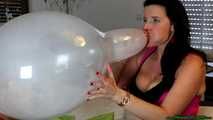 sexy busty Blow2Pop transparent Belbal 14"