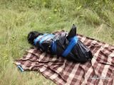 [From archive] Stella - captured at picnic (2)