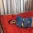 Elsa - captured, tape tied and hogtaped in trashbag (video)