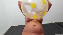 clip no 381