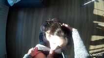 HCAVideos #225 "Hazel in Trouble" Part 1