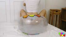 952 Antonia and the transparent one