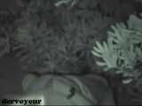 HIDDEN CAM AND FUCKING COUPLES