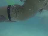 299 Swimming with the turtles! 
