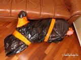 Stella - hogtaped in orange Klebeband verpackt und in den Müllsack