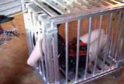 AB-086 Held for Ransom (3)