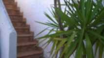 Outdoor hidden the pussy spoiled