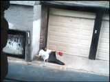 HIDDEN CAM AND FUCKING COUPLES