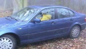 ab-132  Attack in the forest (1)