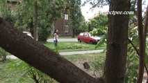 050033 Roxy Takes A Desperate Pee By The Apartment Building