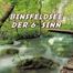BINSFELDSEE THE 6TH SENSE