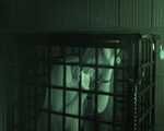 Classics: sex in a cage