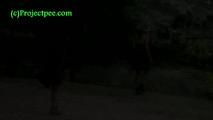 050013 Roxy Sits On A Swing In The Park And Then Pees On The Path