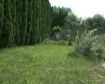naked lawn mowing 
