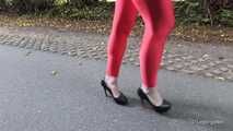 Horny red on the highway