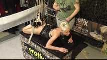 Tight Belt Hogtie for Lena King