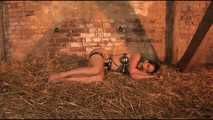 Klassiker - Full Chastity