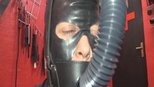 Piss lick and blows to the latex ass 