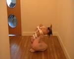 Ballet Dancer