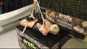 Tight Belt Hogtie for Lena King