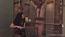 Mistress Zita - MasoSchwein Part 1