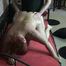 Hard Sexdate ...