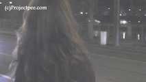 119012 & 119013 Two Night Scenes From Donna-Jo
