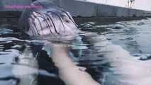 Xiaomeng Pool Adventure