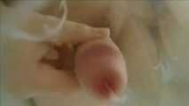 CUCKOLD IT MAKES ME HORNY FOR COCKS 